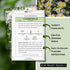 Packet (1) Sow Right Seeds - German Chamomile Seeds for Planting - Non-GMO Heirloom with Instructions to Grow Herbal