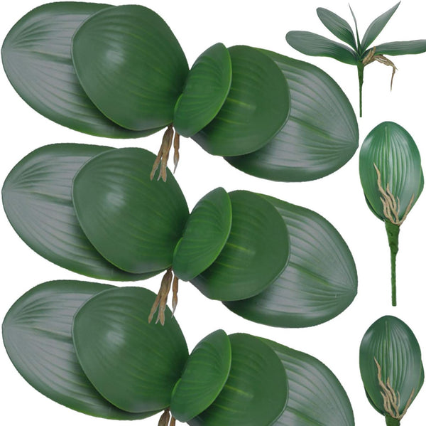 FagusHome 6 PCS Green Artificial Phalaenopsis Orchids Leaves, Faux Orchids Leaf 11 Inches