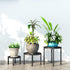 Zhongma Set 3 220 LBS of Fully Assembled Metal Plant Stand for Heavy Potted Plant for Home Indoor and Outdoor, Capacity