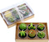Swpeet 12Pcs Decorative Succulent Cactus Tealight Candles Kit, Cute Smokeless Plants for Festival Wedding Props