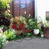 4 Pack Plant Stand Mid Century Modern Simple Small Plant Stand Indoor Outdoor for Heavy Plant Pots Multiple Height Size