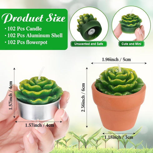 18 Treela Pcs Succulent Cactus Tealight Candles Handmade Tea Lights Baby Shower Plant Candle Gift with Mini Terracotta