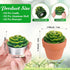 18 Treela Pcs Succulent Cactus Tealight Candles Handmade Tea Lights Baby Shower Plant Candle Gift with Mini Terracotta
