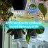 Generic 12-Inch 5-Inch Window Boxes Sill Planter Suction Cup Holder, Extra Wide Window Sill Extender, with Load Bearing