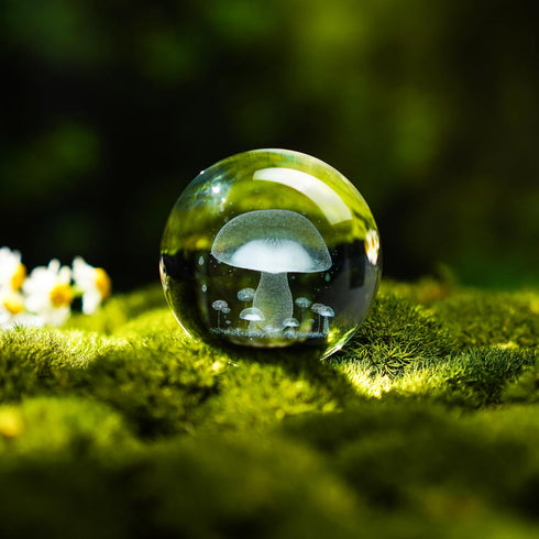 3D 60mm HDCRYSTALGIFTS Mushroom Crystal Ball Laser Engraved Decorative Ball Glass Sphere with Stand Paperweight