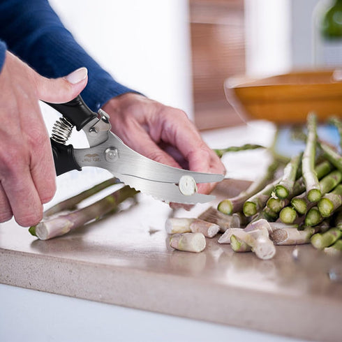 Mr. Pen- Heavy Duty Poultry Shears, Chicken Shears, Meat Cutting Scissors, Chicken Scissors Heavy Duty