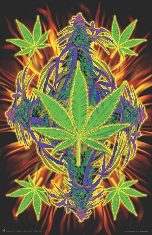 Scorpio Posters Flaming Leaf - Pot Marijuana Poster, 11" x 17"