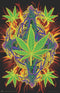 Scorpio Posters Flaming Leaf - Pot Marijuana Poster, 11" x 17"