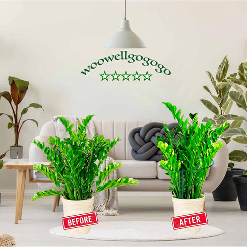 (4 Pack, 14x8Inch) Snake Plant Support Stake - Half Round Peony Stake and Support, Heavy Duty Hydrangea Support Cage