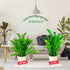 (4 Pack, 14x8Inch) Snake Plant Support Stake - Half Round Peony Stake and Support, Heavy Duty Hydrangea Support Cage