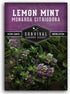 Lemon Mint Seeds for Planting (Monarda Citriodora) | Lemon Bee Balm/Horse Mint