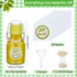 20 Pack Favors(2 oz,Clear) Queekay Mini Swing Top Glass Bottles for Vanilla Extract Homemade Olive Oil Bottles