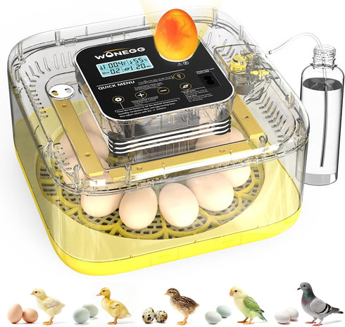 Incubator for Hatching Eggs, 12 Eggs Incubator with Automatic Egg Turning, Temperature