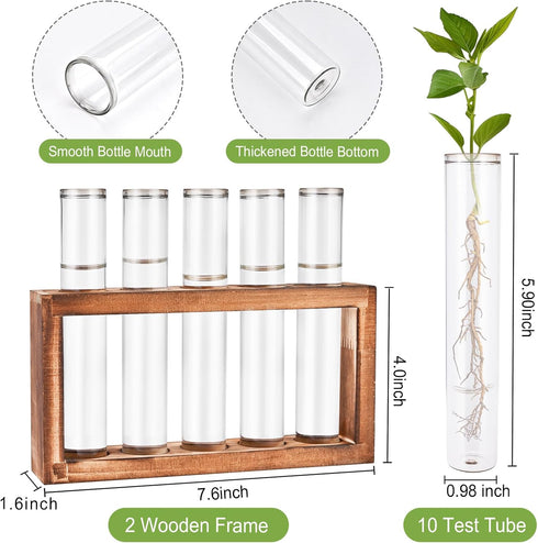 Tigvio 2pcs 10 (10 Desktop Glass Plant Propagation Station with Test Tubes in Wooden Stand - Hydroponic Plants Cutting
