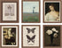QIAOMICS Vintage Wall Art Prints, Rustic Aesthetic Farmhouse Poster, Flower Landscape Painting