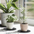 15 12 inch Tlence PCS Plant Level Pot Elevator, Plastic Potted Plant Stands, Large Patio Planter Riser Holder, Deck