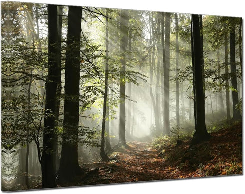 Forest Canvas Wall Art 12x16inch, Foggy Morning Spring Rustic Landscape for Bedroom and Living Room
