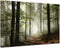 Forest Canvas Wall Art 12x16inch, Foggy Morning Spring Rustic Landscape for Bedroom and Living Room