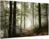 Forest Canvas Wall Art 12x16inch, Foggy Morning Spring Rustic Landscape for Bedroom and Living Room