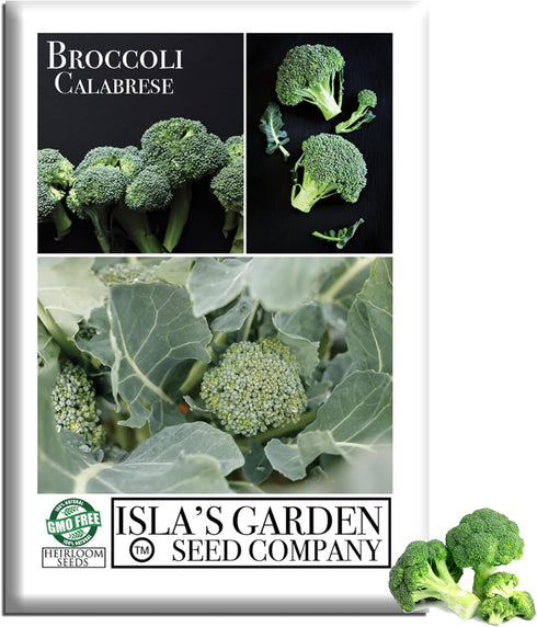 Calabrese Green Sprouting Broccoli Seeds 1000+ Non-GMO & Heirloom Seeds, Brassica oleracea,