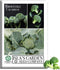 Calabrese Green Sprouting Broccoli Seeds 1000+ Non-GMO & Heirloom Seeds, Brassica oleracea,