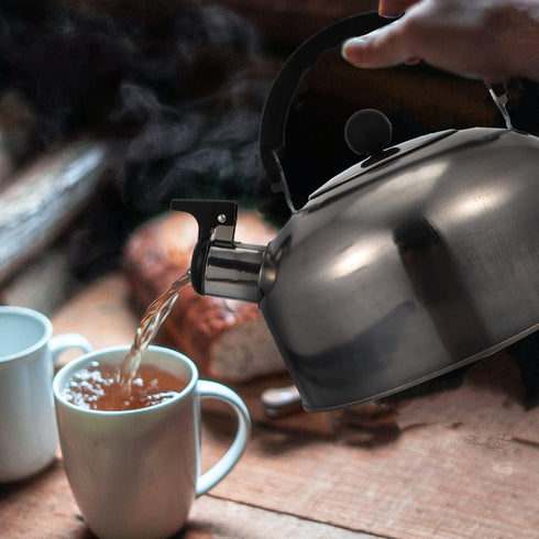 ABOOFAN Whistling Tea Kettle - Stainless Steel 2L Teapot for Stovetop Hot Water, Fast Boil Silver Kettle