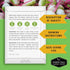 6 Pack Rare Exotic Vegetable & Fruit Seeds for Planting Variety Heirloom with Romanesco, Lemon Cucumber, Watermelon