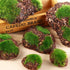 6Pcs Foam Moss Green Hay Stone: DIY Family Garden Decoration for Miniature Landscape
