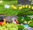 DoTebpa 44 Pcs Miniature Family Chicken, Cock, Hen, Egg, Chicken Nest Ornament Micro Landscape Fairy Garden Dcor