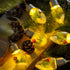 HFXXAD 10 Bulbs Decorate(6.6FT Christmas Lights Indoor, LED Clear Christmas Tree Snow Globe String Lights with Berry