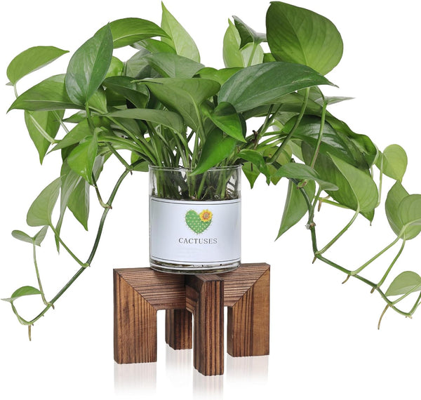 Vigordream Plant Stand, Indoor/Outdoor Wood Plant Holder, Single Flower Pot Stand, Sturdy