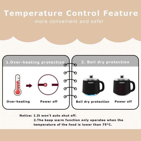 Dezin Hot Pot Electric, Rapid Noodles Cooker, 1.6 Liter Stainless Steel Pot with Temperature Control