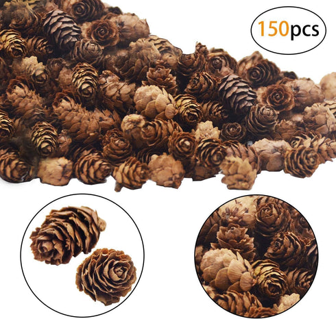 Deloky 150 Pcs Christmas Natural Mini Pine Cones - 2CM Small Pinecones for DIY Crafts, Home Decorations, Thanksgiving,