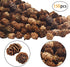 Deloky 150 Pcs Christmas Natural Mini Pine Cones - 2CM Small Pinecones for DIY Crafts, Home Decorations, Thanksgiving,