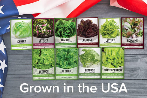 23,000 10 Packs Pack Gardeners Basics, Salad Greens Lettuce Seeds Heirloom Vegetable Seed Seeds for Planting Indoors