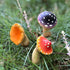 Mushroom Garden-Decor Fairy Garden-Accessories - Outdoor Spring Patio Decor Waterproof Mushroom Statues
