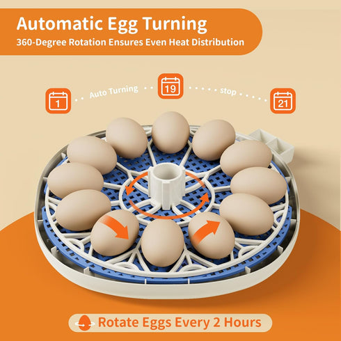 12 Egg Incubators for Hatching Eggs, Temperature and Humidity Control, Automatic Egg Turning, Egg Candler, Automatic