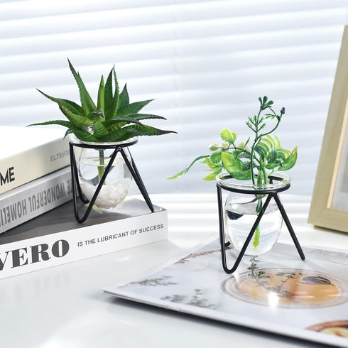 3 Bulb Jspupifip Pcs Glass Plant Terrarium with Metal Stand, Air Plants Holders Hydroponic Plant Vases Desktop Glass