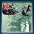 GORGECRAFT 46x15"/116x38cm Large Landscape Wall Stickers Double Sided Mountain Window Decals Non Adhesive Butterfly