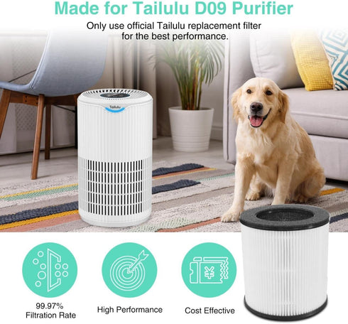 Air Purifier Replacement Filter for D09 Air Cleaner, 3-in-1 True H13 HEPA Filter, 1 Pack