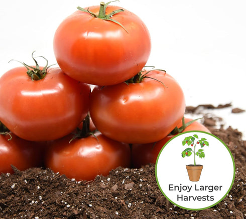 8oz. Perfect Plants Tomato Plant Fertilizer in Bottle | Help Your Vegetable Garden Thrive | Rich in Essential nutrients