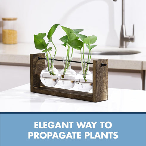 GARDEN REPUBLIC Plant Propagation Station, Wooden Stand with Propagation Tubes, Hanging Plant Glass Tubes Station