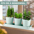 2 Sets Set Wenqik Herb Garden Planter Pot with Tray Metal Windowsill Plant Pot with Drainage Farmhouse Decorative Live