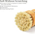 2P Bamboo Dish Brush, Eco Friendly Sisal Scrubber Brush with Ceramics Holder-Wooden Brush for Pot,Dish and Vegetables