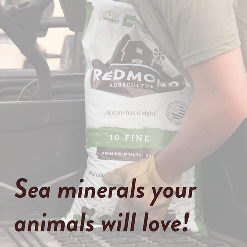 10 25 LB Redmond Fine Natural Livestock Mineral Salt Bag