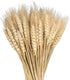 100 Pcs Dried Wheat Sheaves Bundle, Golden Natural Wheat Bouquet for Fall Farmhouse DIY Decor (16")