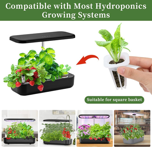 LANVRION IG201Hydroponic 50 Pack Grow Sponges, Seed Starter Pods Root Growth Sponges Eco-Friendly PH Balanced Square