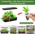 LANVRION IG201Hydroponic 50 Pack Grow Sponges, Seed Starter Pods Root Growth Sponges Eco-Friendly PH Balanced Square