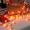 OKBA 2pack red Chili Pepper String Lights,40 LED Pepper String lamp Indoor