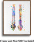 Dignovel Studios 11X14 DN529 Unframed Human Spine Bone Anatomy Medical Doctor Watercolor Art Print Poster Housewarming